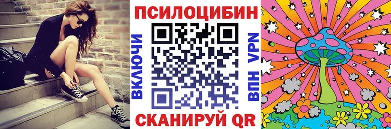 даркнет клад Андреаполь Псилоцибиновые грибы ЛСД